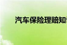 汽车保险理赔知识之车险含义和种类
