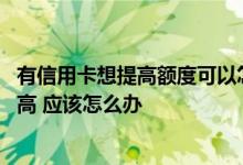 有信用卡想提高额度可以怎么办 我现在想把信用卡的额度提高 应该怎么办