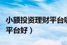 小额投资理财平台哪个好（小额投资理财哪个平台好）