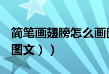 简笔画翅膀怎么画图片（简笔画翅膀怎么画（图文））