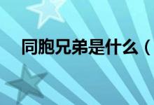 同胞兄弟是什么（同胞兄弟是什么意思）
