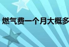 燃气费一个月大概多少钱（是怎么样收费的）