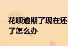 花呗逾期了现在还不上怎么办 花呗逾期还不了怎么办
