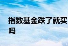 指数基金跌了就买 指数基金跌了还能继续买吗