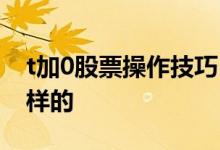 t加0股票操作技巧 t加0股票的操作方法是怎样的