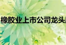 橡胶业上市公司龙头股橡胶业上市公司有哪些