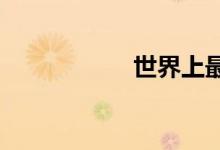  世界上最昂贵的大街 