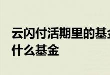 云闪付活期里的基金怎么转换 云闪付活期 是什么基金