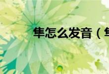 隼怎么发音（隼怎么读（图文））