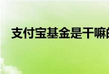 支付宝基金是干嘛的 支付宝基金是股票吗