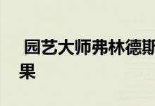  园艺大师弗林德斯的避难所产生了恒星的结果 