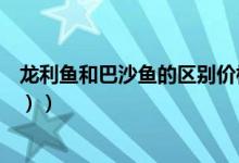 龙利鱼和巴沙鱼的区别价格（龙利鱼和巴沙鱼的区别（图文））