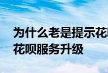 为什么老是提示花呗服务待升级 为何老提示花呗服务升级