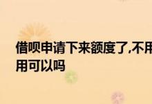 借呗申请下来额度了,不用可以吗 支付宝借呗申请了额度不用可以吗