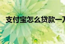 支付宝怎么贷款一万元（支付宝怎么贷款）