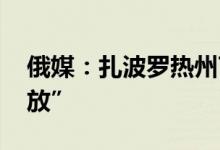 俄媒：扎波罗热州72%至73%领土已被“解放”