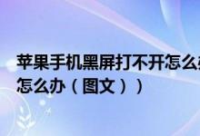 苹果手机黑屏打不开怎么办但没关机（苹果手机黑屏打不开怎么办（图文））