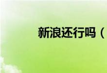 新浪还行吗（新浪有还怎么样）