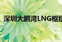 深圳大鹏湾LNG枢纽港接卸量突破亿吨大关