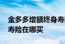 金多多增额终身寿险在哪买 金多多增额终身寿险在哪买