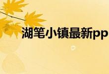 湖笔小镇最新ppp项目（湖笔的特点）
