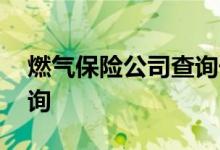 燃气保险公司查询号码 燃气保险保单如何查询