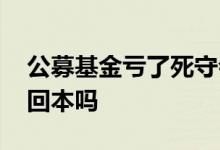 公募基金亏了死守会回本吗 股票亏了死守会回本吗