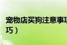 宠物店买狗注意事项（购买宠物狗需要哪些技巧）