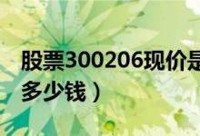 股票300206现价是多少（股票理邦仪器今天多少钱）