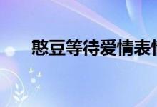憨豆等待爱情表情包（黄豆豆贷app）