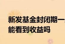 新发基金封闭期一般收益多少 新基金封闭期能看到收益吗