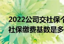 2022公司交社保个人承担多少比例 2022年社保缴费基数是多少 