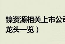 镍资源相关上市公司有哪些（镍资源上市公司龙头一览）
