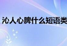 沁人心脾什么短语类型（沁人心脾什么意思）
