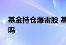 基金持仓爆雷股 基金持仓爆雷股票会跌很多吗