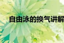 自由泳的换气讲解（自由泳的换气办法）