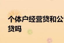 个体户经营贷和公司经营贷 个体户能走经营贷吗