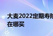 大麦2022定期寿险属于哪个公司 大麦2022在哪买