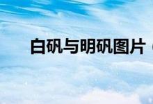 白矾与明矾图片（白矾与明矾的区别）