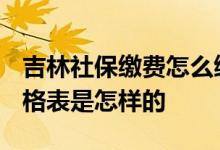 吉林社保缴费怎么缴 2022年吉林社保缴费价格表是怎样的 