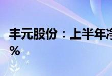 丰元股份：上半年净利润同比预增278%-318%