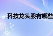 科技龙头股有哪些（十大龙头企业一览）