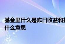 基金里什么是昨日收益和持有收益 基金昨日收益和持有收益什么意思