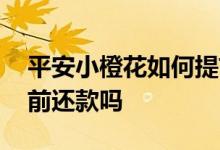 平安小橙花如何提前还款 平安小橙卡可以提前还款吗