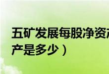 五矿发展每股净资产（五矿发展600058净资产是多少）