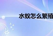水蚁怎么繁殖（水蚁怎么驱赶）