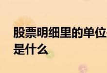 股票明细里的单位是手吗 股票明细里的单位是什么