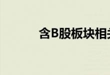 含B股板块相关上市公司有哪些