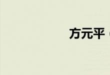 方元平（方元金服）