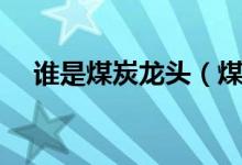 谁是煤炭龙头（煤炭价格行情走势分析）